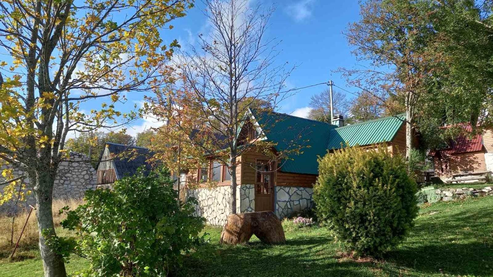 Family Farm Bungalow Zabljak  Ngoại thất bức ảnh